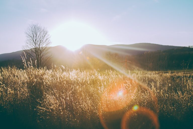 Boost Your Day: Quick Tips for a Fresher Morning