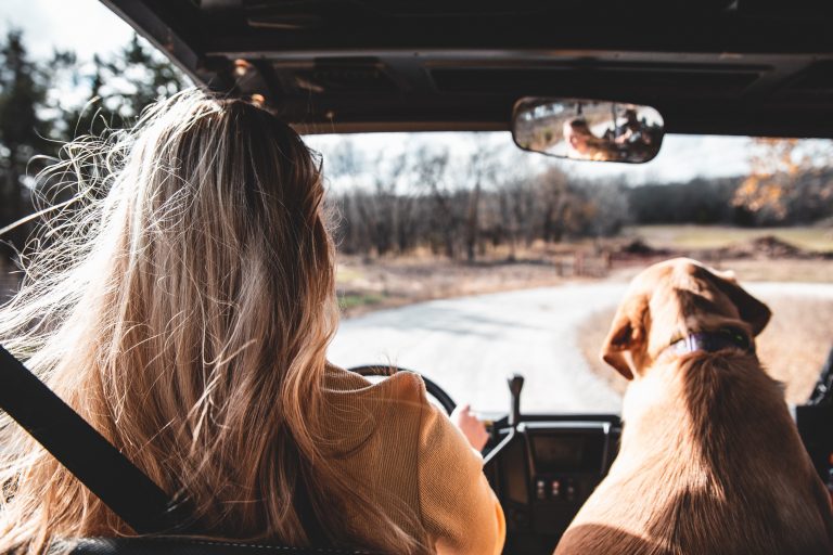Feeling Stuck? Here’s How to Find Your Drive
