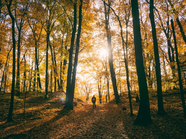When Seasons Change, So Do We